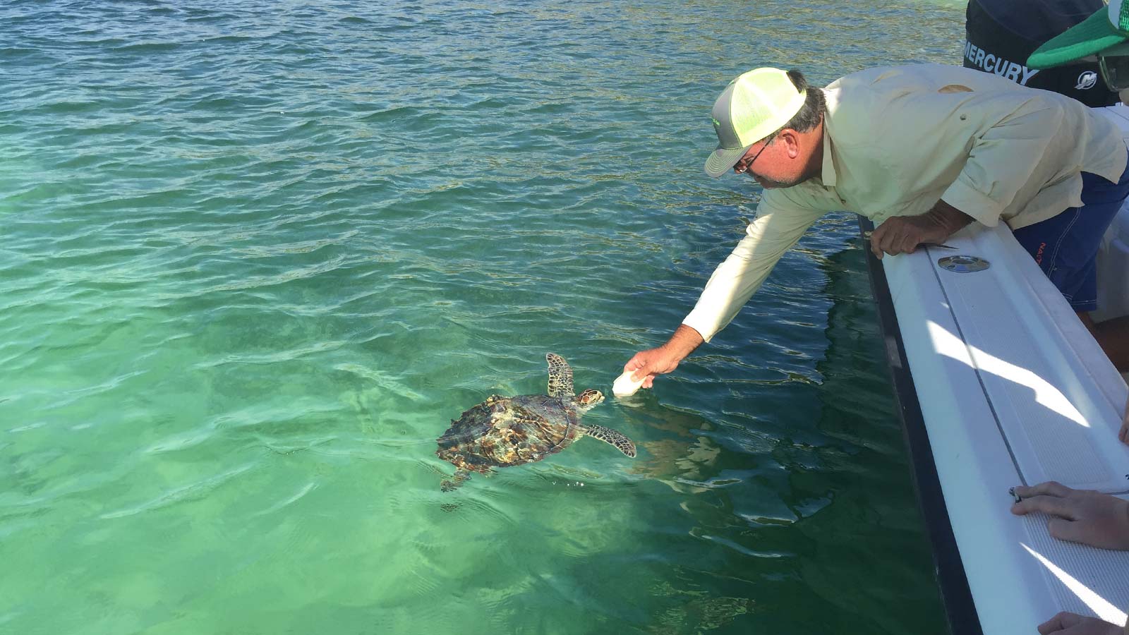 Reel Serious Charters | Green Turtle Cay, Abaco, Bahamas – Fishing ...